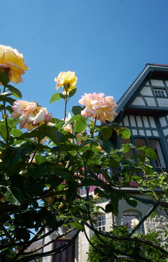 Villa Beckmann 겐넨바흐 외부 사진